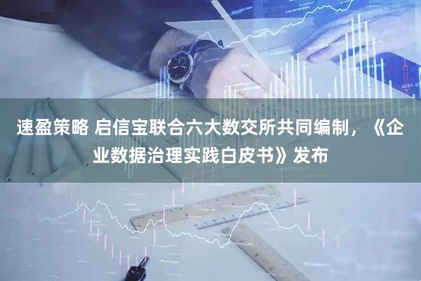 速盈策略 启信宝联合六大数交所共同编制，《企业数据治理实践白皮书》发布