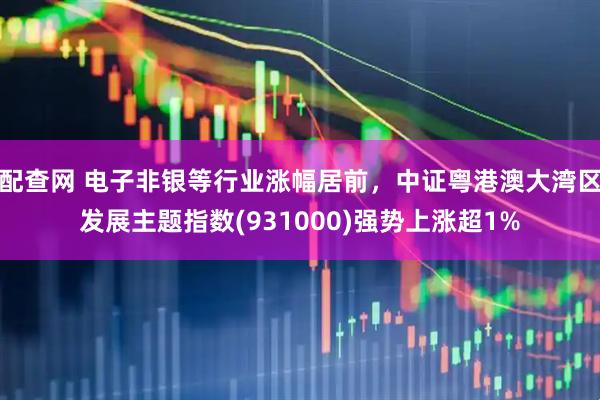 配查网 电子非银等行业涨幅居前，中证粤港澳大湾区发展主题指数(931000)强势上涨超1%