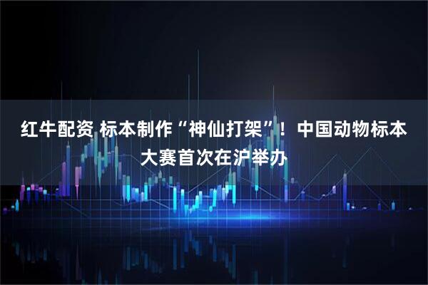 红牛配资 标本制作“神仙打架”！中国动物标本大赛首次在沪举办