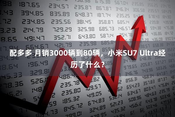 配多多 月销3000辆到80辆，小米SU7 Ultra经历了什么？